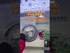 مجموعة غطاء أسطوانة الرفع لـ Volvo Loader L180D