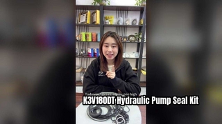 K3V180DT مجموعة سدادات المضخة الهيدروليكية